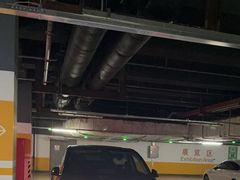 -国家会议中心大酒店-地上停车场