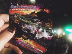 门票-清迈夜间动物园