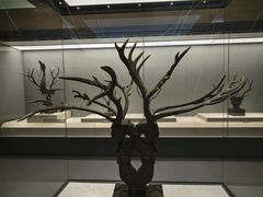 -荆州博物馆