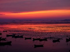 -枸杞岛