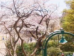 -三鹰之森吉卜力美术馆