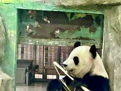 -灵玲国际马戏城