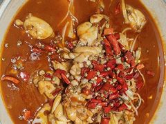 -美蛙四季(亦庄店)