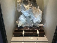 -贵州省地质博物馆