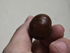 -粒上皇(湛江万达店)