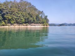 -广州市流溪河国家森林公园