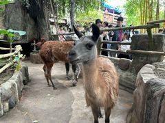 -长鹿旅游休博园