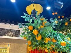 -杨氏橘红(前门大街店)