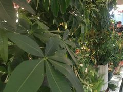 -奉天宴遇烧烤·冒锅