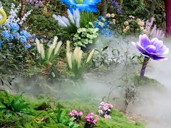 -龙湾潭国家森林公园