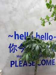 -DK SALON连锁专业烫染接发店