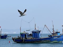 -海源公园