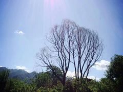 -秦岭风景区