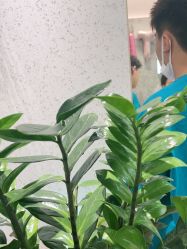 -LJOY丽锦造型·烫发染发