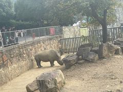 -无锡动物园·太湖欢乐园