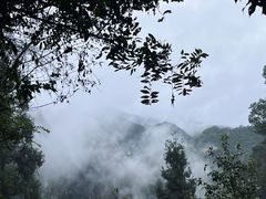 -刘伯温故里景区百丈漈