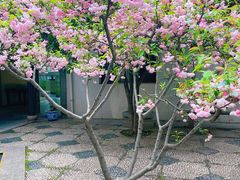 -全季酒店（苏州观前街平江路店）(原临顿路地铁站店)
