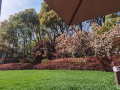 -常州环球恐龙城维景国际大酒店