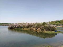 -丁香湖公园
