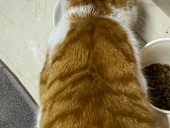 -芭比堂动物医院·犬猫全科·异宠专科(雁塔分院)