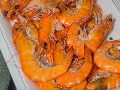 -南燕湾渔家码头