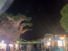 -苏州湾梦幻水世界