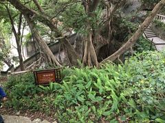 -乌山风景区