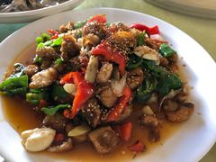 爆炒野生狗鱼块-煲来饱去冷水鱼
