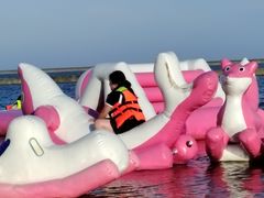 -碧海金沙