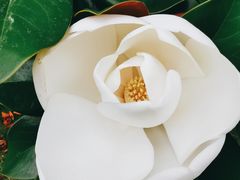 -上海虹桥迎宾馆