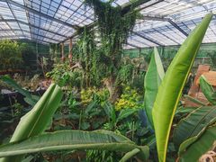 -呀路古热带植物园