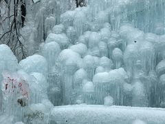 -青峰峡国家森林公园