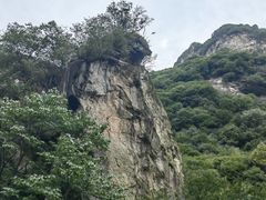 -少华山国家森林公园