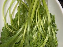 -蒙都43°9羊火锅(平庄店)