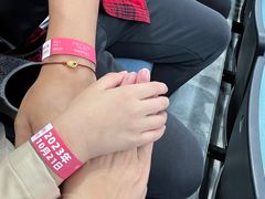 -杭州奥体中心-体育场