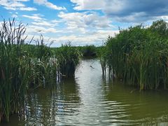 -野鸭湖国家湿地公园