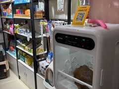 -车接车送·寄养洗护·德文猫舍(大宁店)