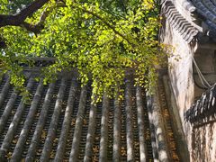 -青岛崂山太清宫