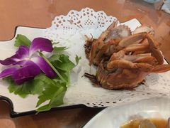 干煎膏蟹-友强·22年特色海鲜大排档·闽菜(湖里店)