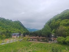 -朱雀国家森林公园