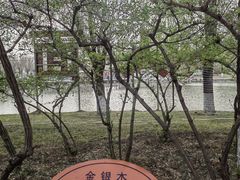 -东山植物园