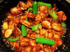 石锅杭椒牛蛙-桂满陇天书(南京德基旗舰店)