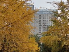 -辽宁大学(崇山校区)