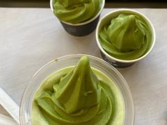 -雪绿茶博物馆