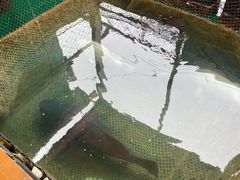 -蓝湾碧波·老字号·疍家非遗海上餐厅