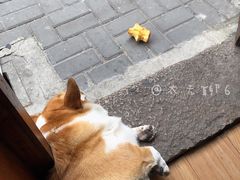 -阿木舂记·特色小吃(平江路店)
