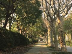 -美兰湖景区