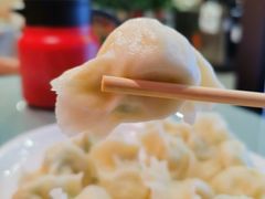西葫芦鸡蛋-听涛雅苑百味饺子老家菜馆