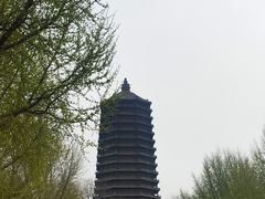 -玲珑塔公园