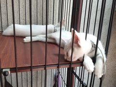 -七叔是岛民(花基新村店)